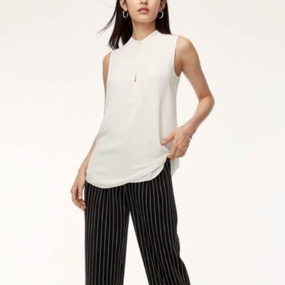 Aritzia Babaton Wolfgang Blouse